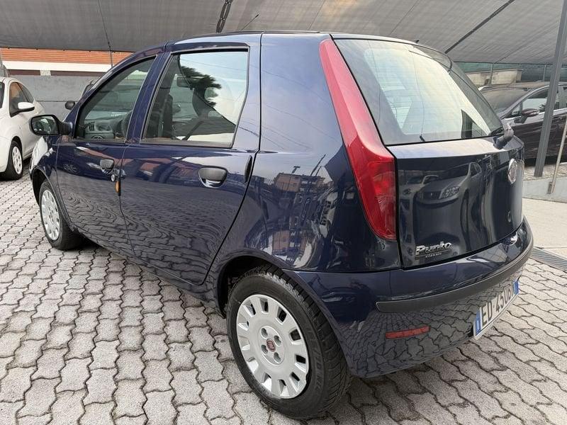 FIAT Punto Punto 5p 1.2 Classic IDONEA NEOPATENTATI