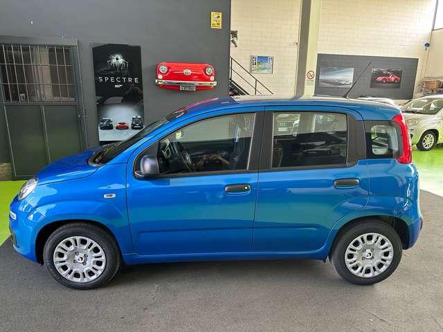 Fiat Panda 1.0 firefly 70CV hybrid NESSUN VINCOLO