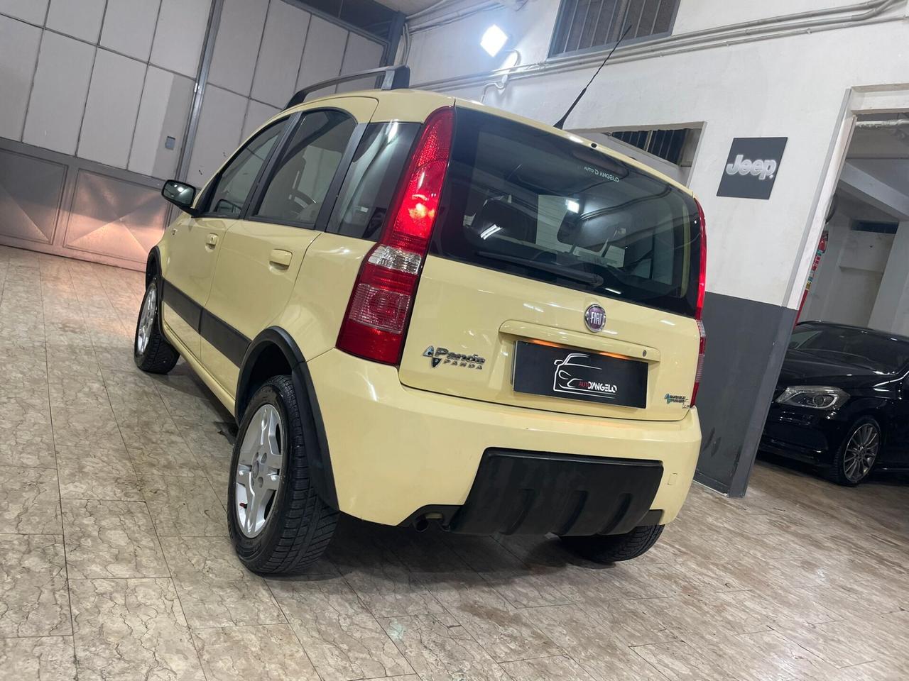 Fiat Panda 1.2 Climbing Natural Power