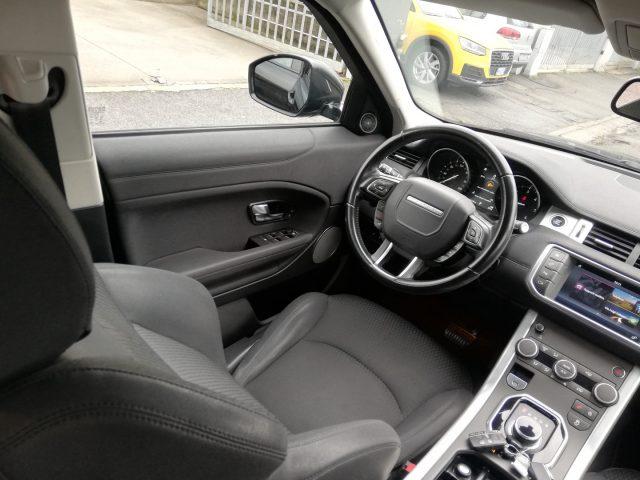 LAND ROVER Range Rover Evoque 2.0 eD4 5p. Business Edition Premium Pure