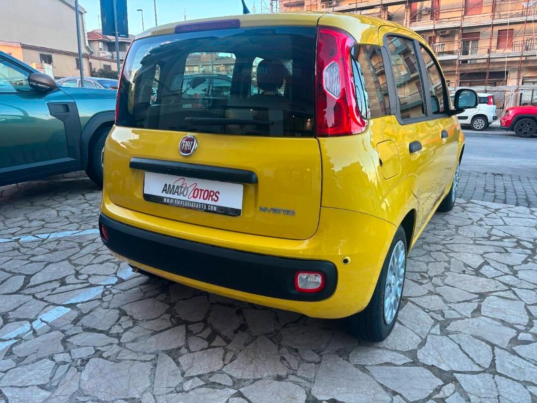 Fiat Panda 1.0 firefly hybrid Pop s&s 70cv
