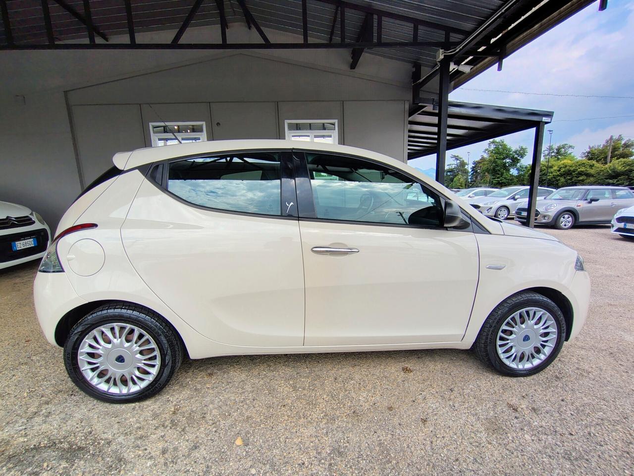 Lancia Ypsilon 1.2 69 CV 5 porte Platinum
