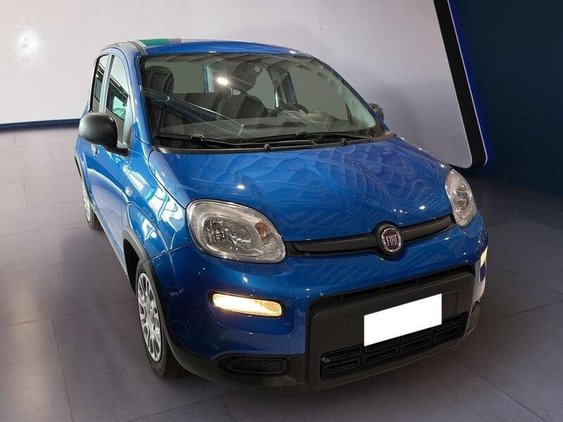 FIAT Panda My24 1.0 70cv Hybrid Panda