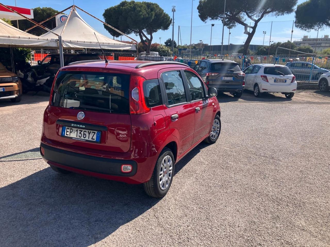 FIAT PANDA 1.2 69cv 5 Porte Easy