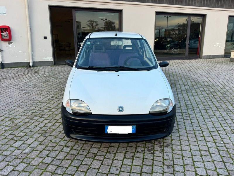 FIAT Seicento 900i cat Young