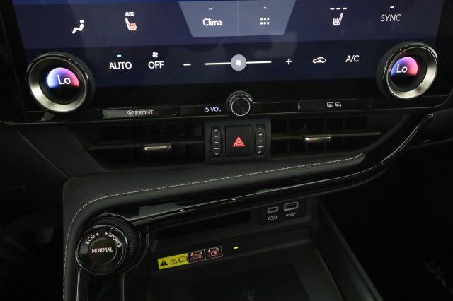 LEXUS Other NX NX Hybrid 4WD Premium +