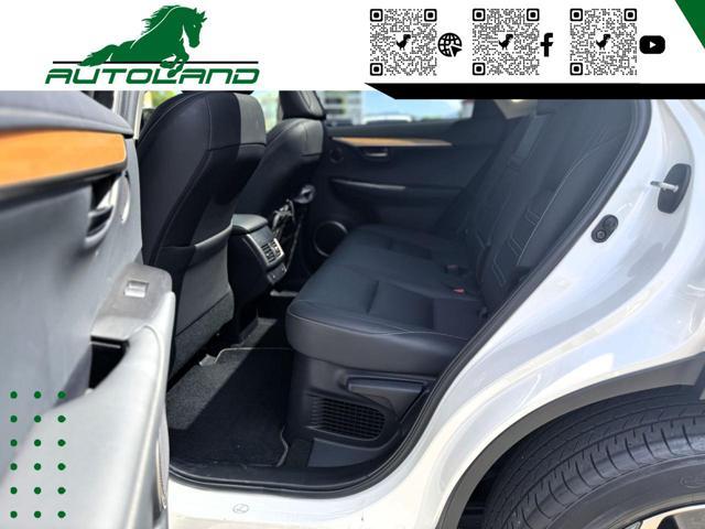 LEXUS NX 300 Hybrid 4WD Executive 155 CV