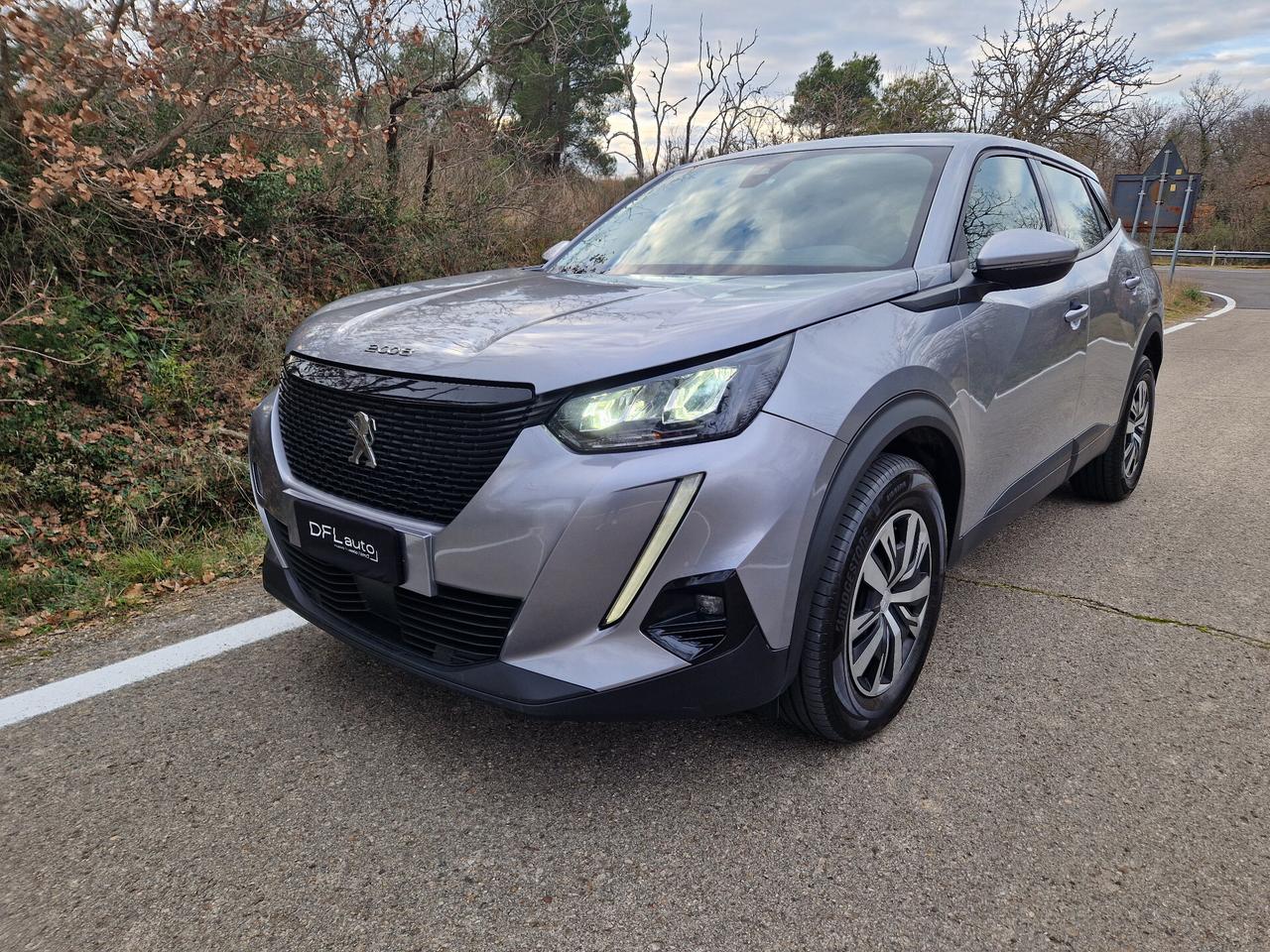 Peugeot 2008 BlueHDi 110 S&S ACTIVE