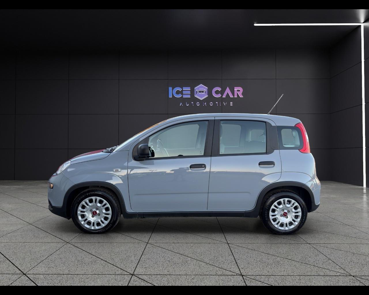 FIAT Panda 3ª serie - Panda 1.0 FireFly S&S Hybrid