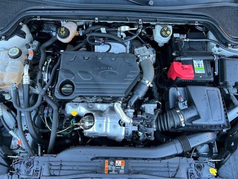 Ford Focus 1.5 Ecoblue 120cv Business
