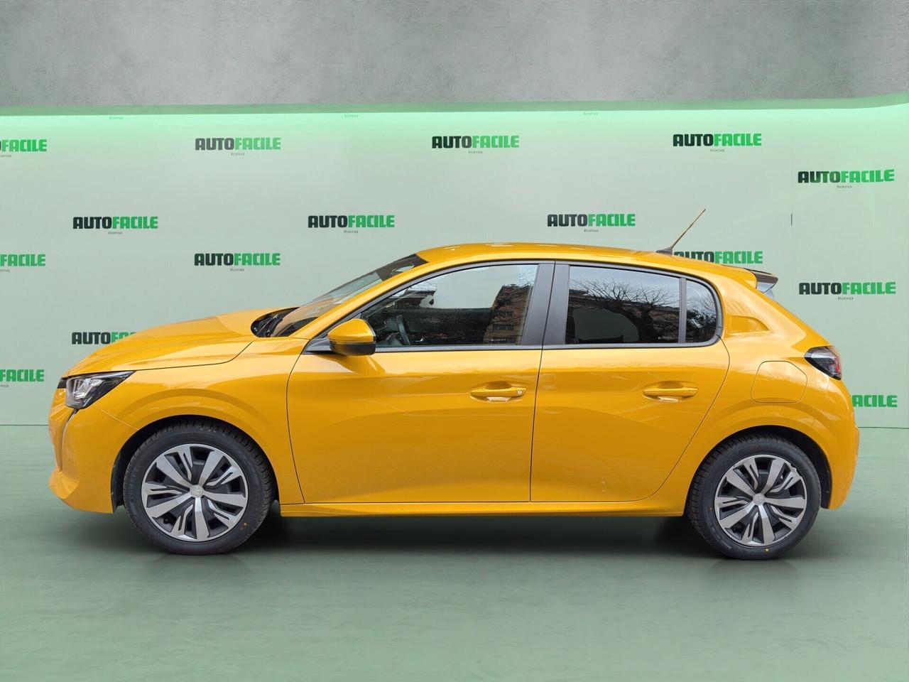 Peugeot 208 - GPL - DISTRIBUZIONE FATTA -