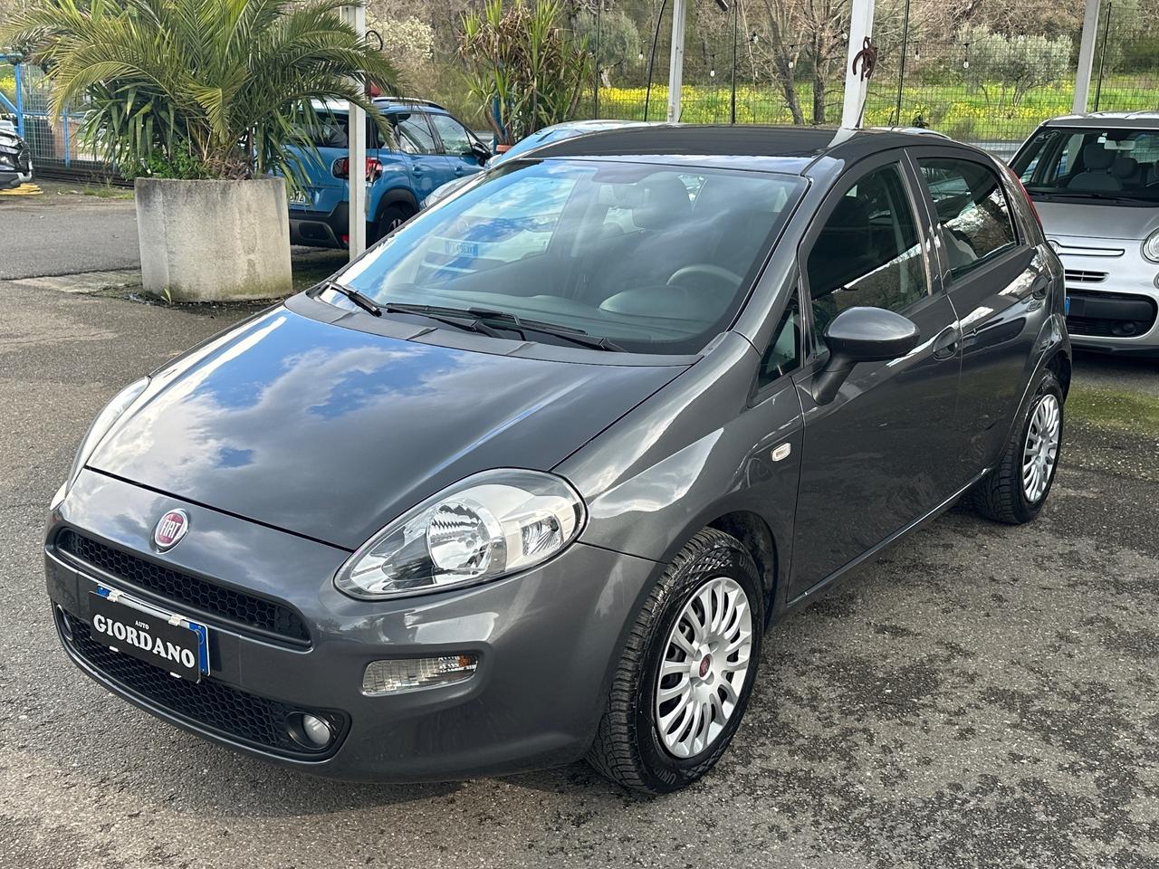 Fiat Punto 1.3 MJT S&S 95 CV 5 porte Street
