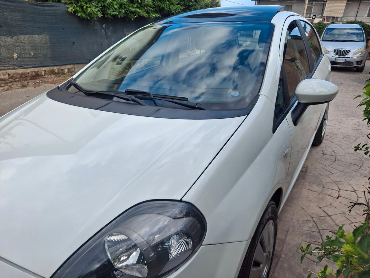 Fiat Punto Evo 1.3 Mjt 95 CV DPF 5 porte S&S Emotion
