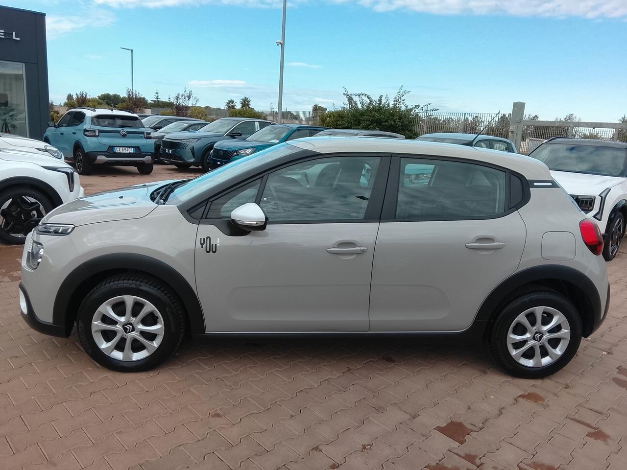 Citroen C3 BlueHDi 100 S&S You