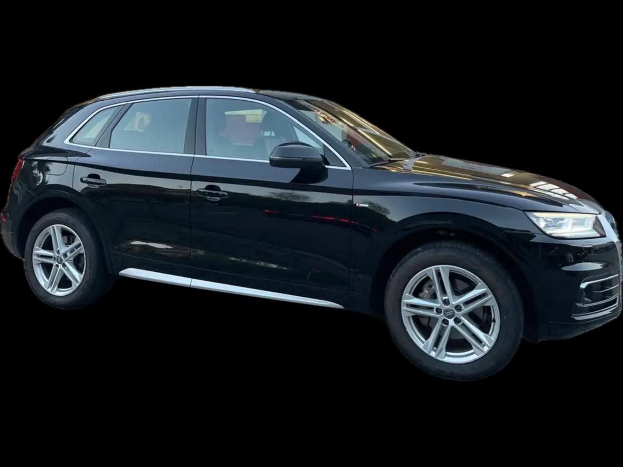 Audi Q5 2.0 TDI 190 CV quattro S tronic line plus Perfetta