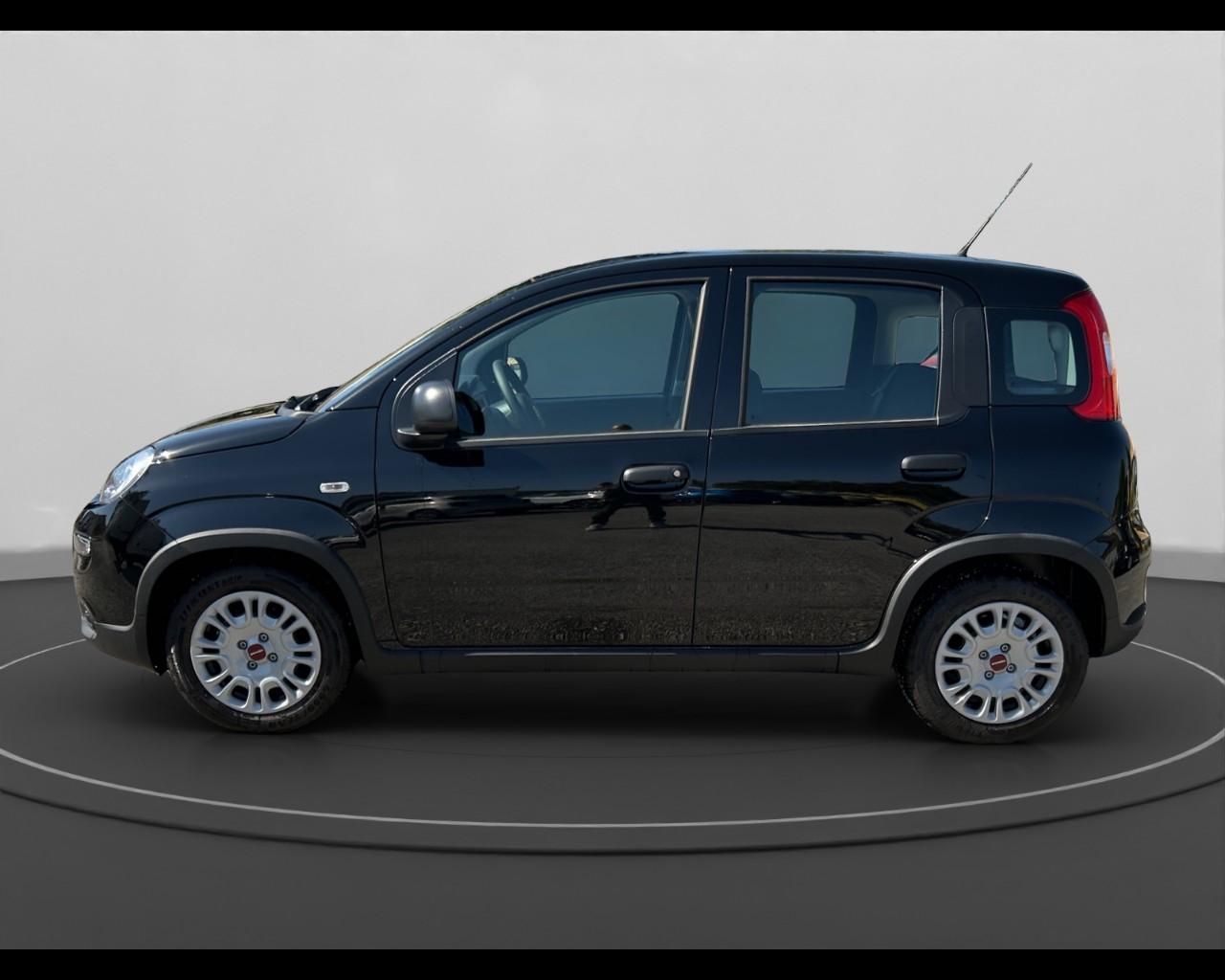 FIAT Panda III 2021 - Panda 1.0 firefly hybrid s&s 70cv