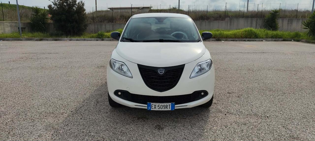 Lancia Ypsilon 0.9 TwinAir 85 CV 5 porte Metano Ecochic Elefantino