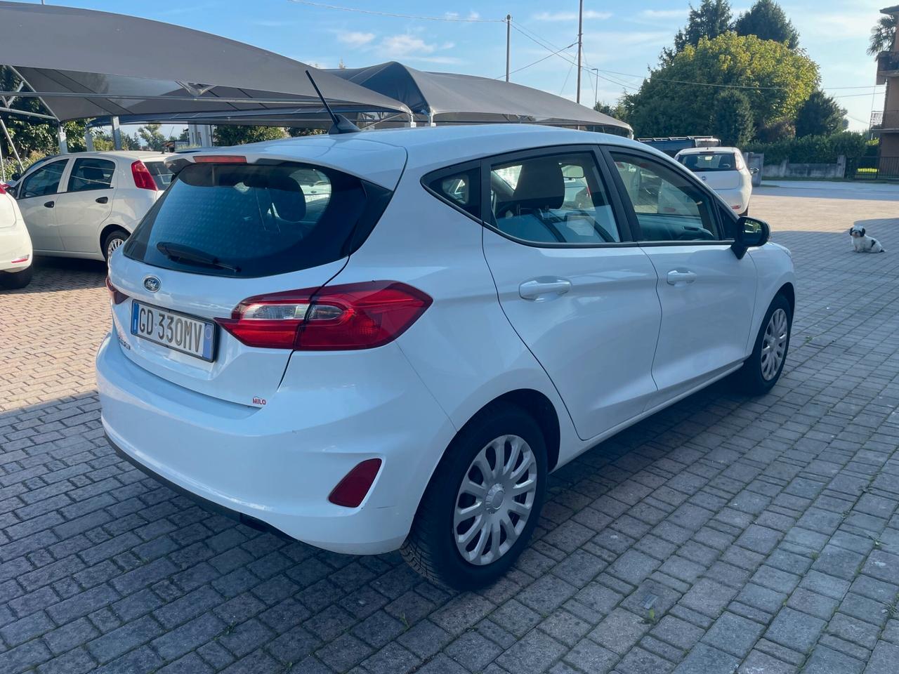 Ford Fiesta 1.1 75 CV 5 porte Connect