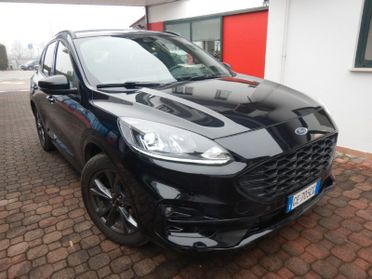 Ford Kuga 1.5 EcoBlue 120 CV 2WD ST-Line