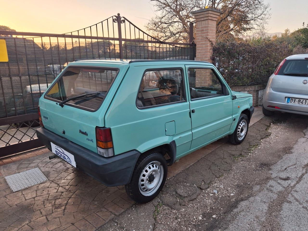 Fiat Panda 1100 i.e. cat Young