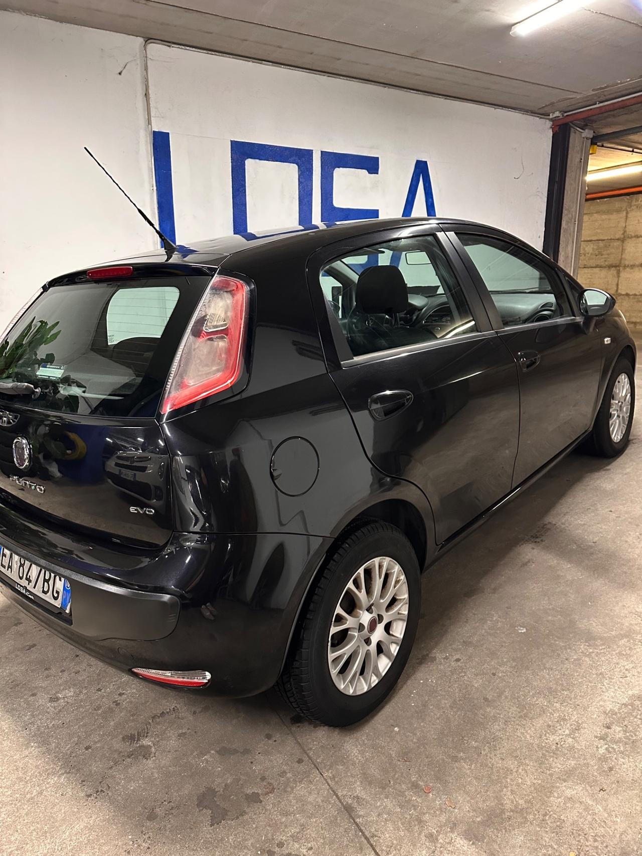 Fiat Punto Evo 1.4 5 porte Emotion GPL