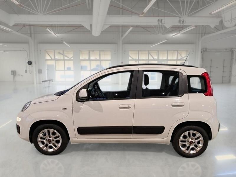 FIAT PANDA 1.2 69 CV SES E6D-TEMP LOUNGE 5 PORTE BERLINA