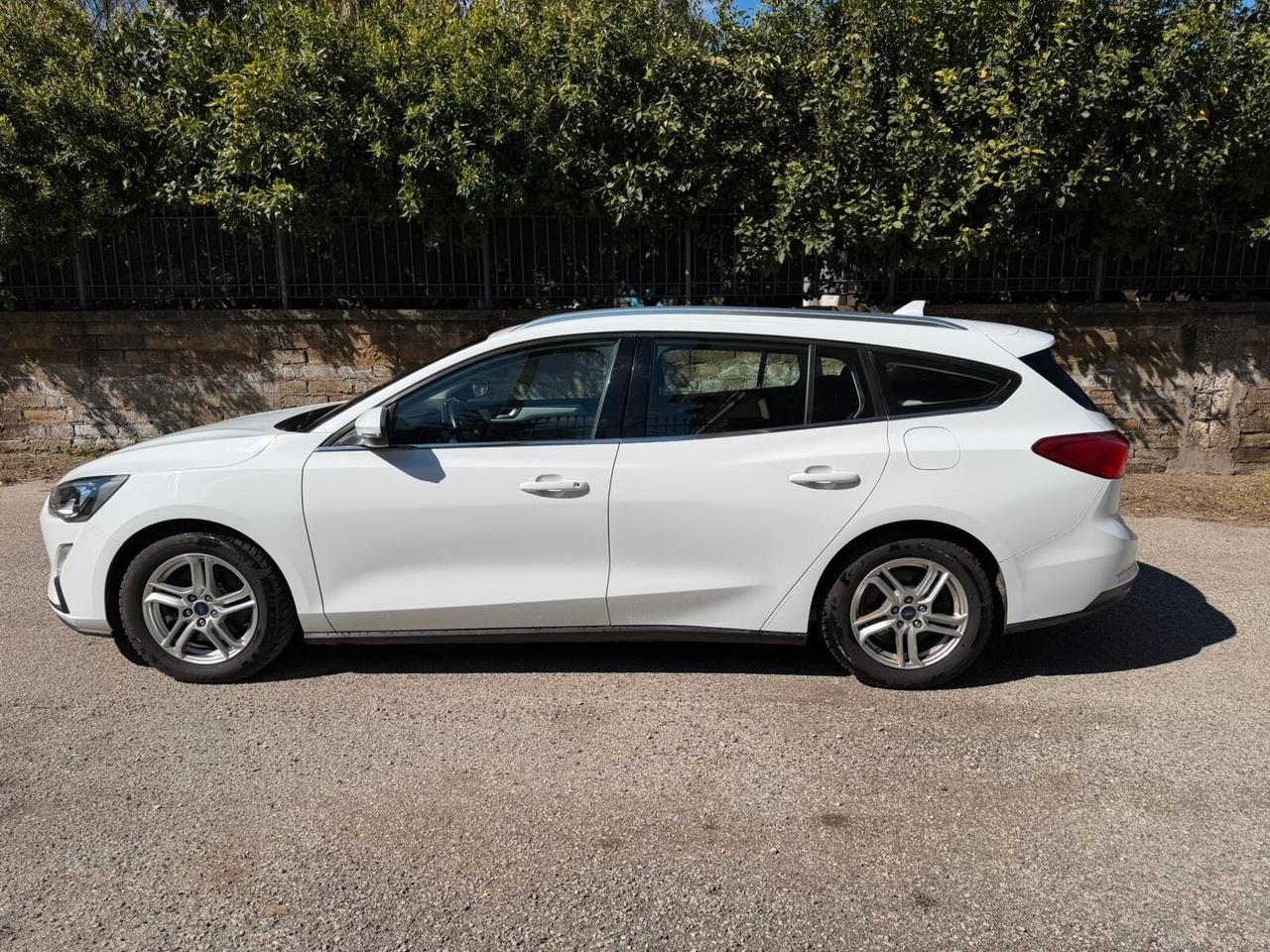 Ford Focus 1.5 EcoBlue 120 CV automatico SW Business Co-Pilot