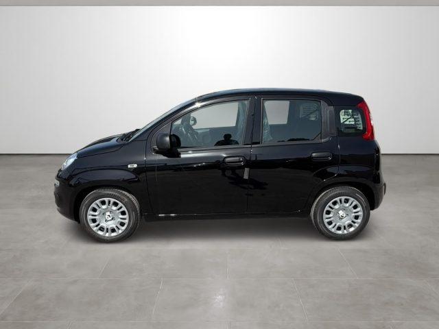 FIAT Pandina 1.0 FireFly 65 CV Hybrid Icon
