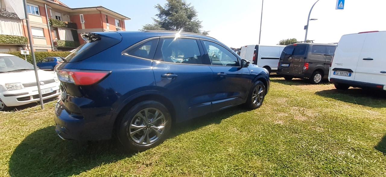 Ford Kuga 1.5 EcoBlue 120 CV aut. 2WD ST-Line