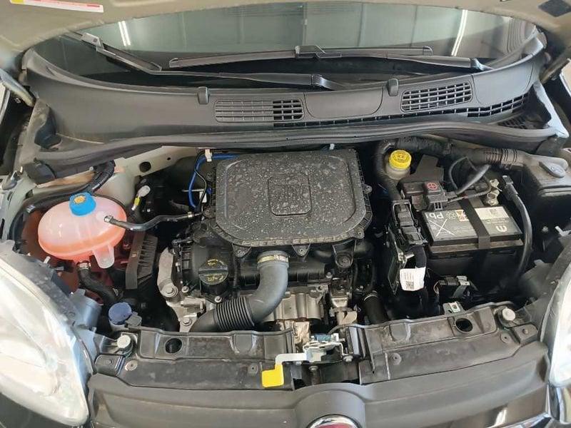 FIAT Panda 1.0 70cv Hybrid Panda