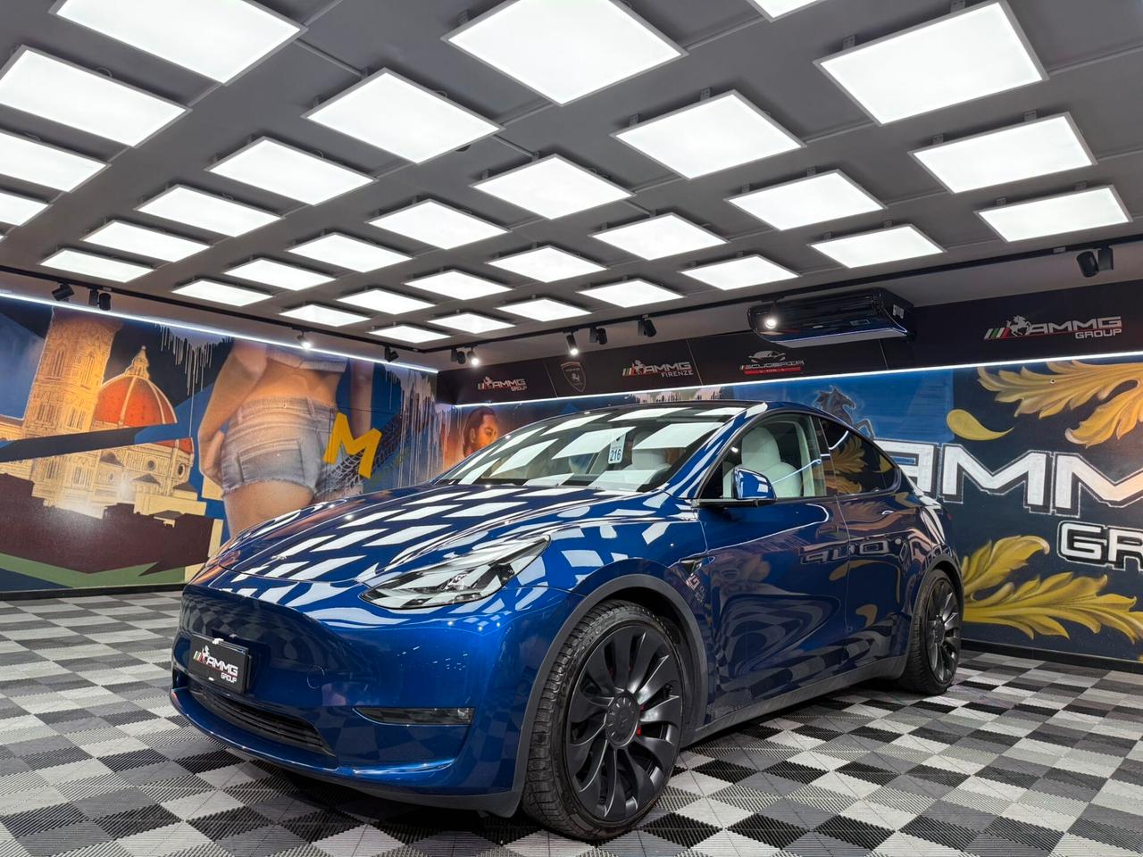 Tesla Model Y AWD Performance (265)