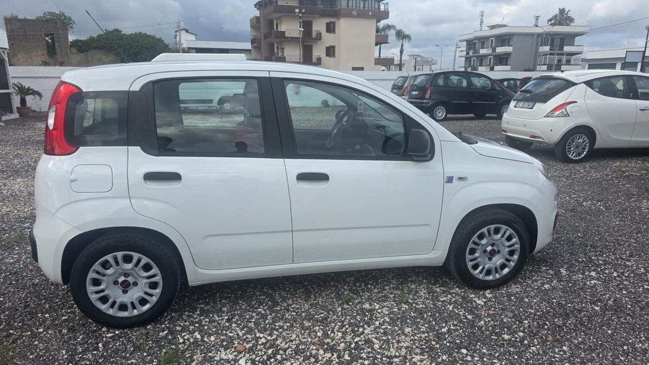 Fiat Panda 1.2 Easy
