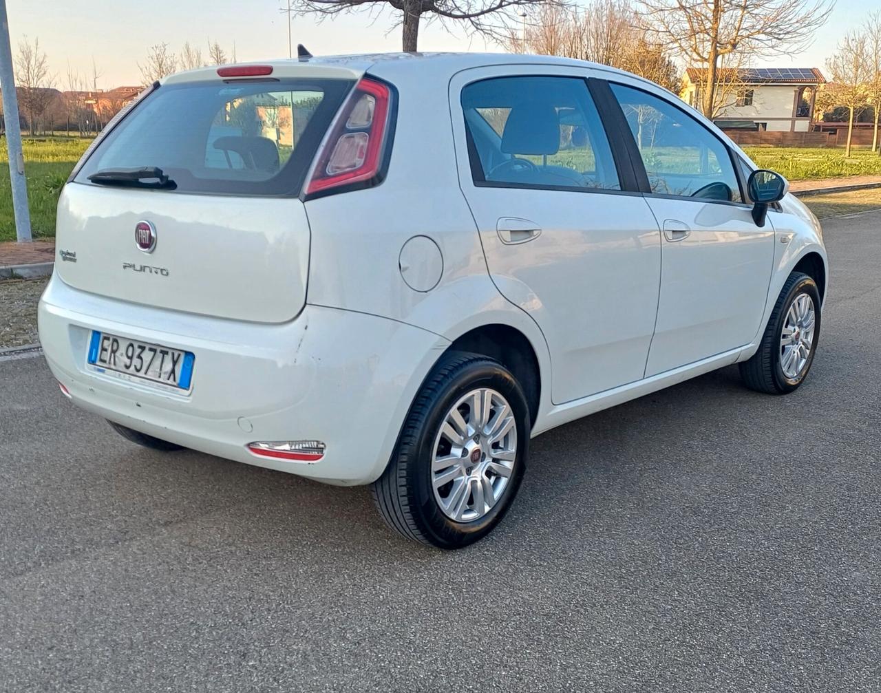 Fiat Punto 1.4 8V 5 porte Natural Power Lounge