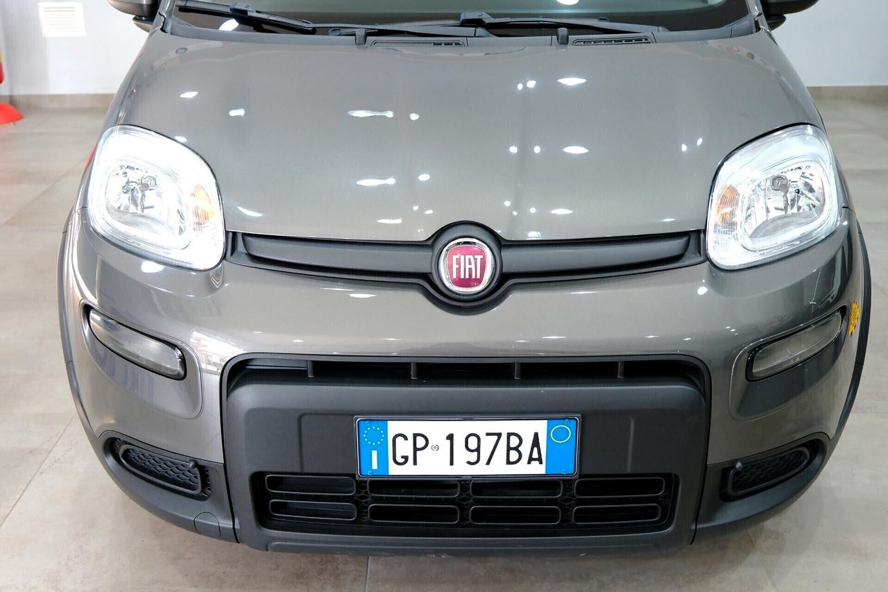 Fiat Panda Hybrid 1000 70cv City Life