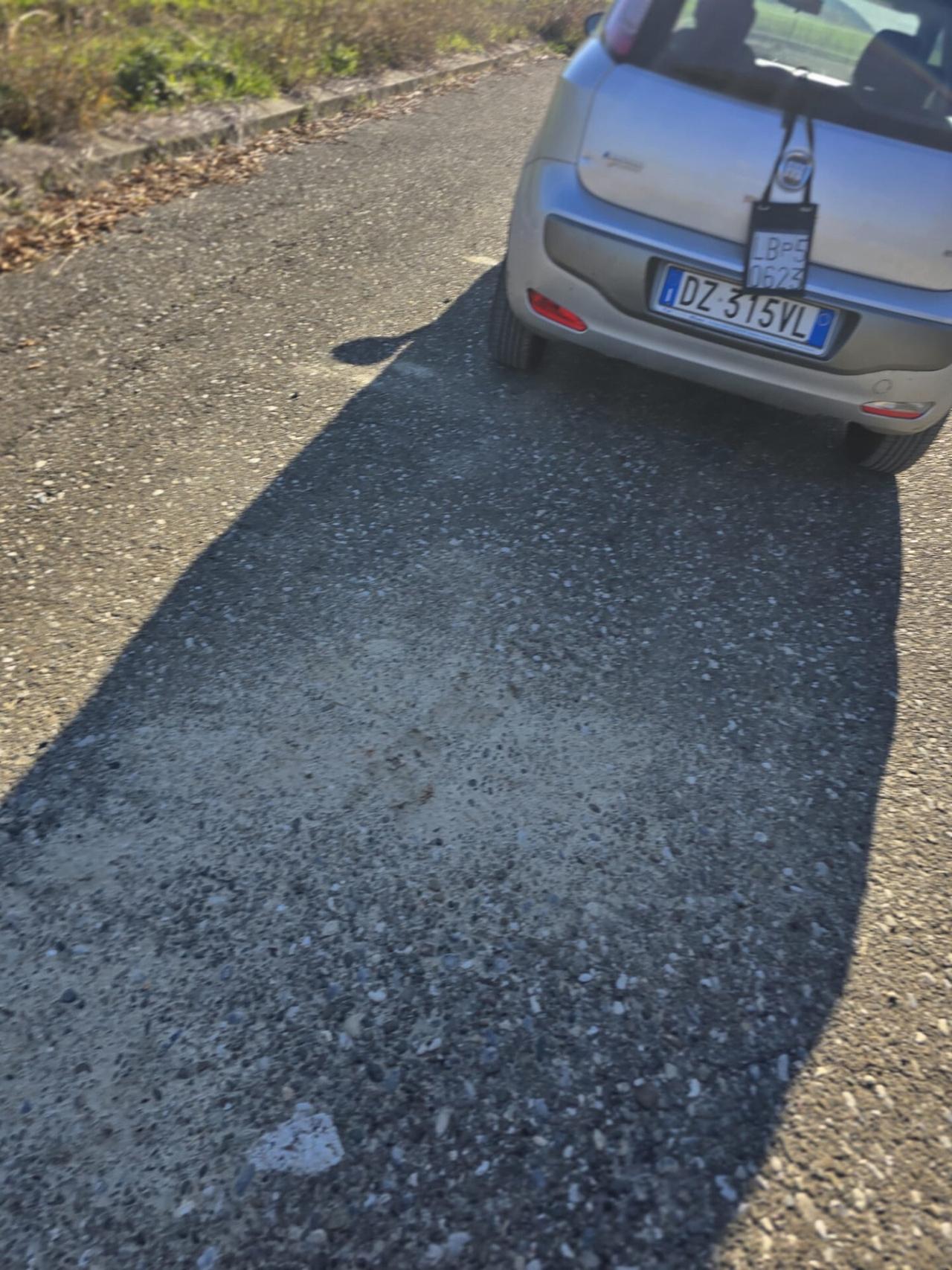 Fiat Punto Evo 1.4 5 porte Active Natural Power