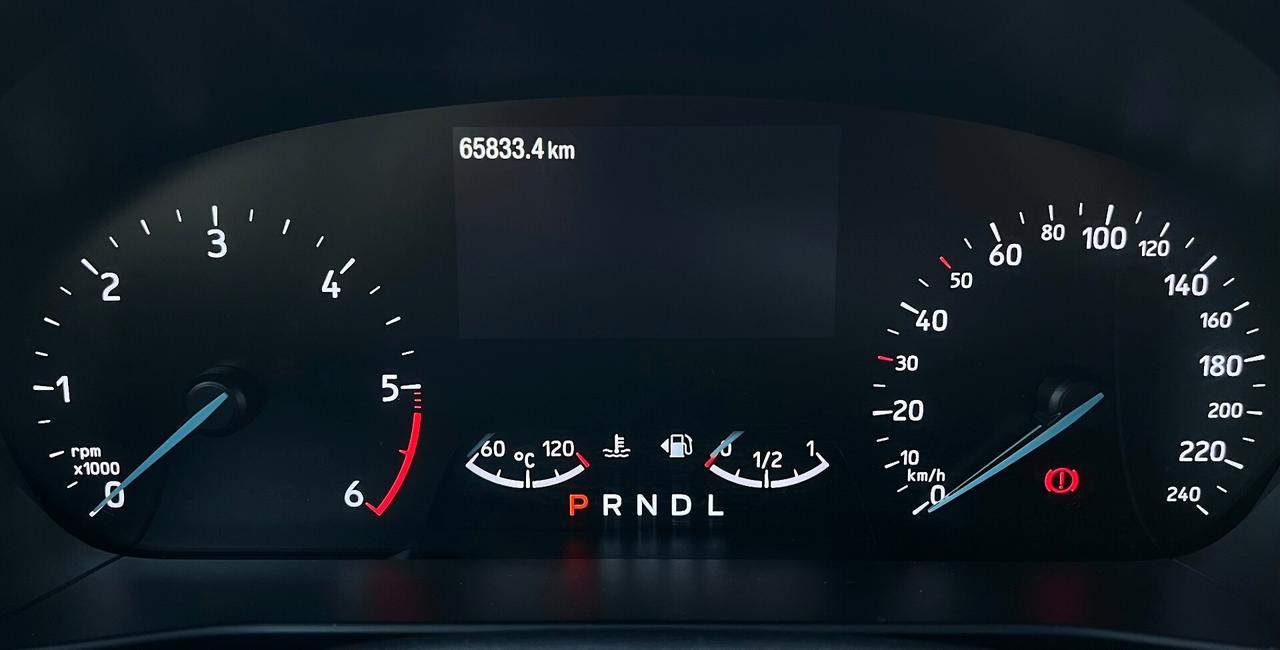 Ford Focus 1.5 EcoBlue 120 CV 5p. Active Co-Pilot Automatic