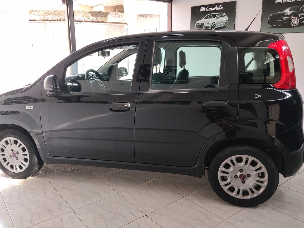 Fiat Panda 1.2 bnz/GPL 2018 CON GARANZIA