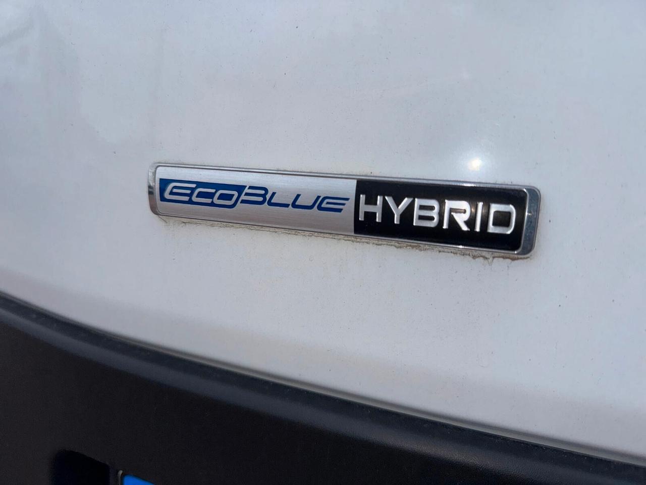 Ford Transit 350 2.0TDCi EcoBlue MHEV 130CV PM-TM Furgone Trend