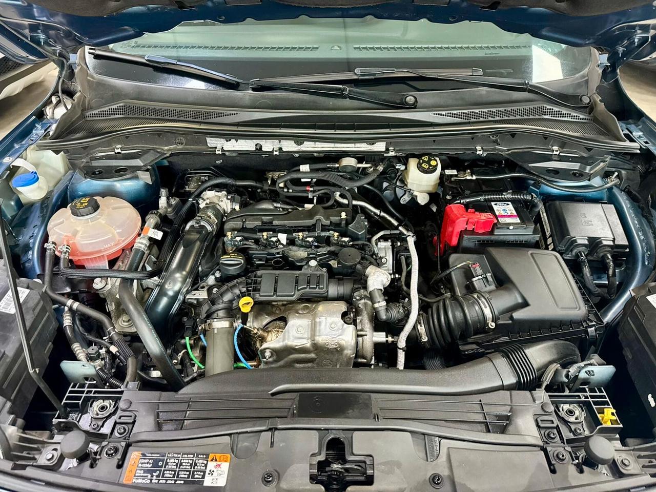 Ford Kuga 1.5 EcoBlue 120cv aut. Titanium 12/2021