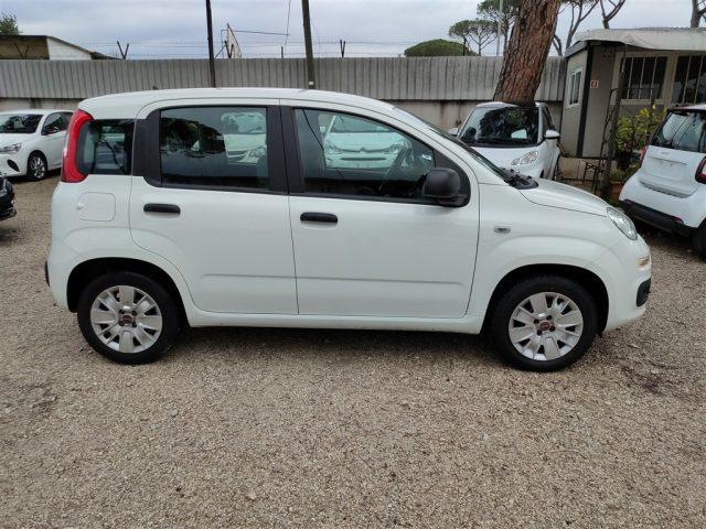 FIAT Panda 1.2 69cv GPL CLIMATIZZATORE OK NEOPATENTATI ..