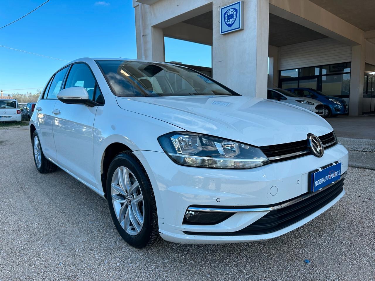 Volkswagen Golf 1.6 TDI 115 CV 5p.BlueMotion Technology 2019