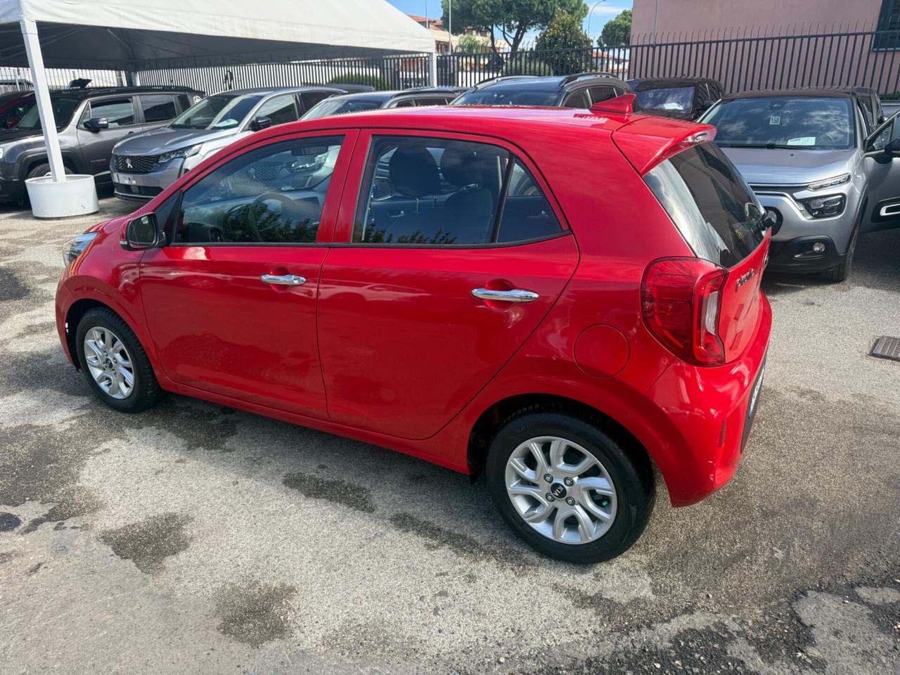 Kia Picanto 1.0 12V 5 porte Cool E6