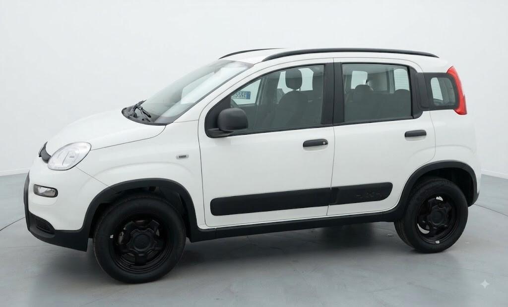 Fiat Panda 0.9 TwinAir Turbo 85cv S&S 4x4 2020