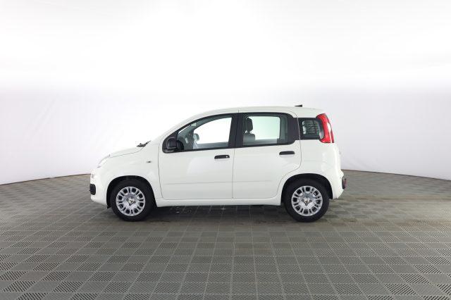 FIAT Panda Pandina 1.0 FireFly 65 CV Hybrid Icon