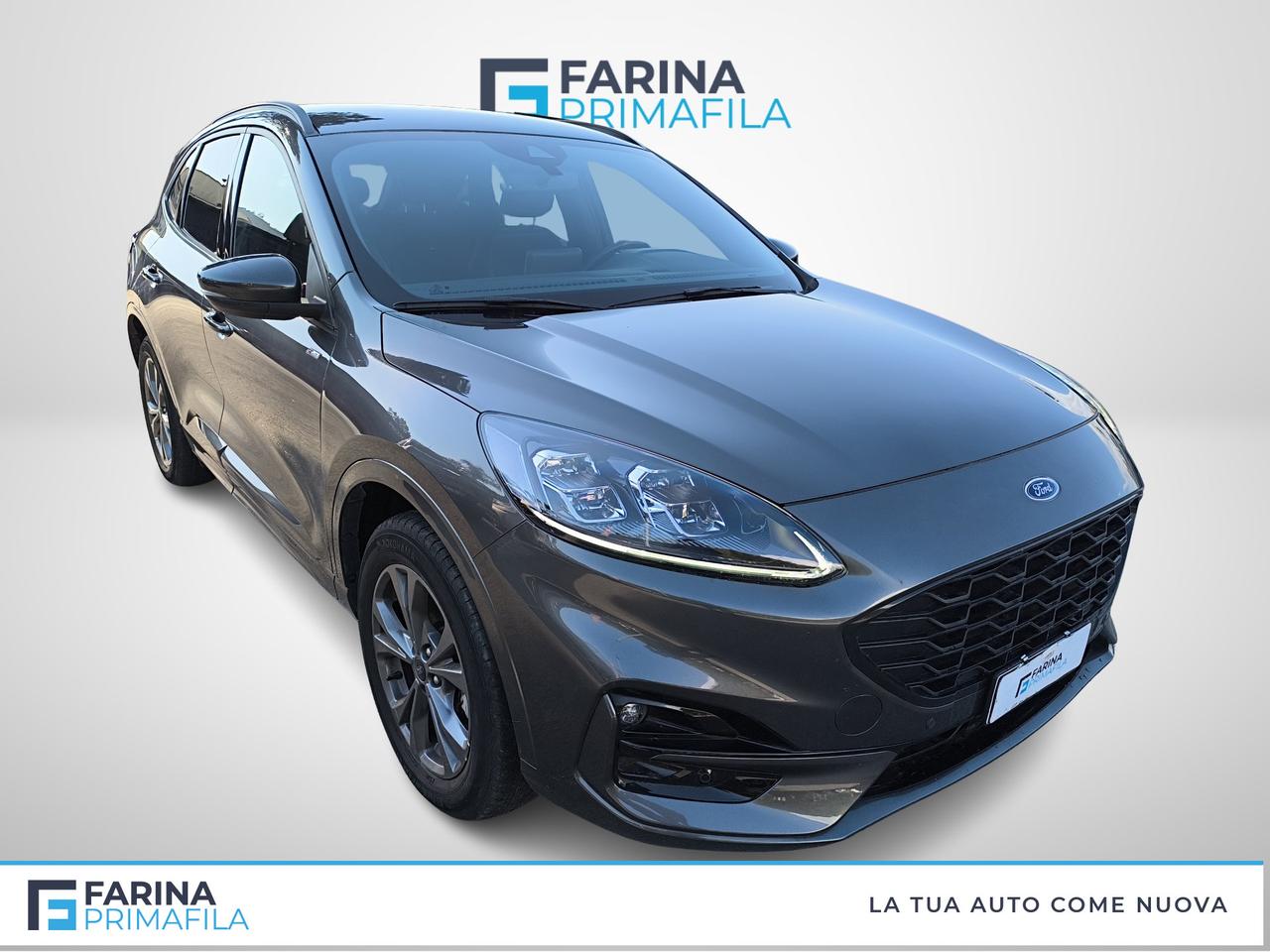FORD Kuga III 2020 - Kuga 2.5 phev ST-Line X 2wd 225cv cvt