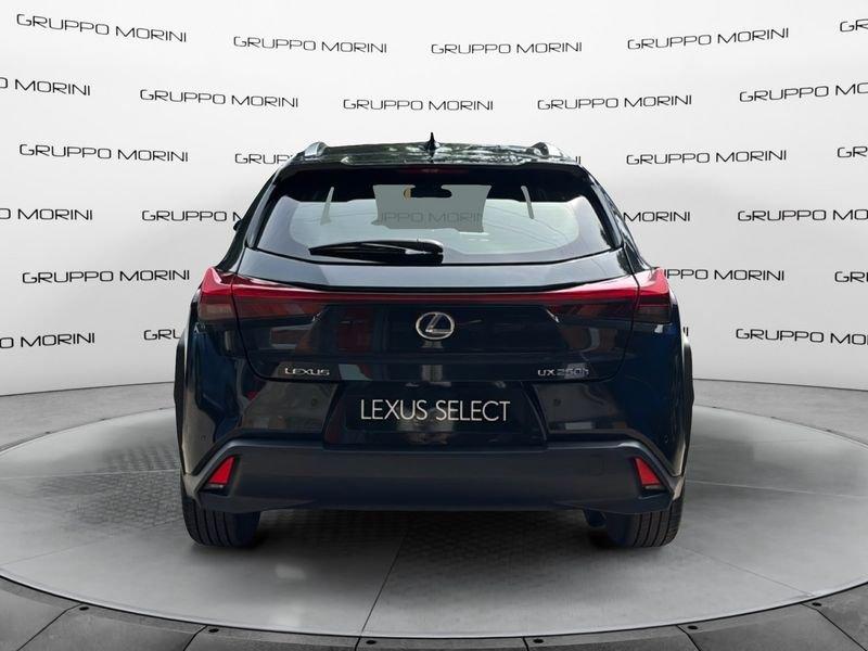 Lexus UX Hybrid Executive 2WD MY22