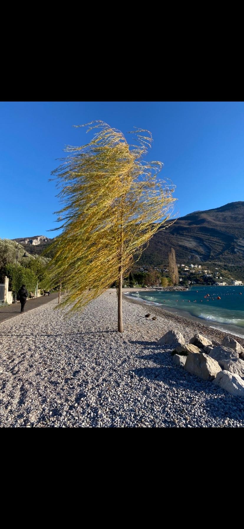 Fiat Panda 1.1 Active - Solo 52ooo KM !!!