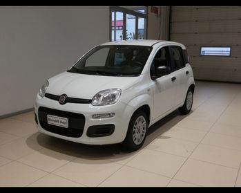 FIAT Panda 3ª serie - Panda 1.2 Easy