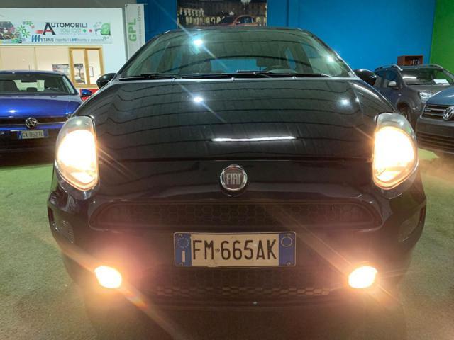 FIAT Punto 1.4 8V 5 porte Natural Power Street