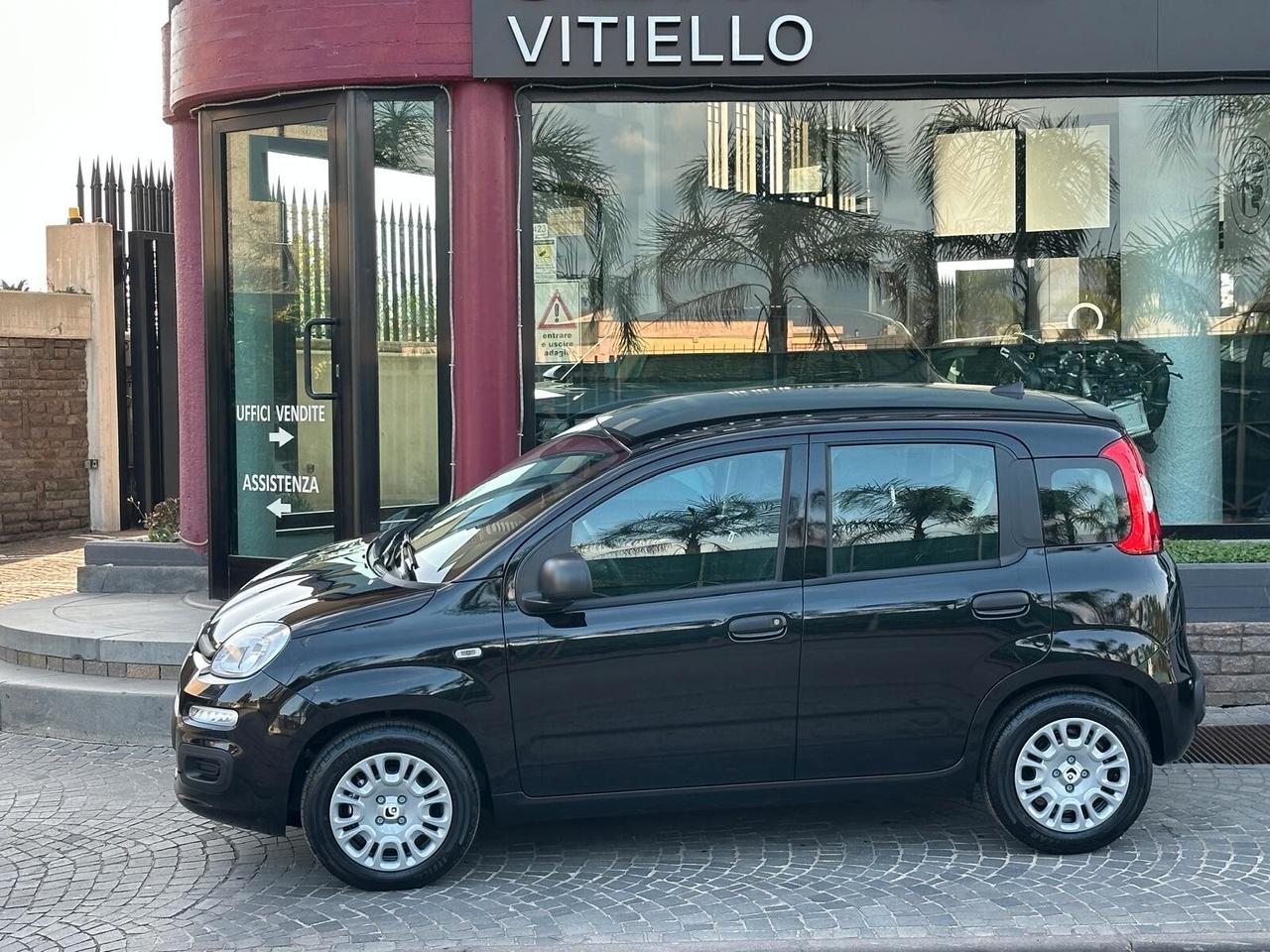 FIAT Panda 3ª serie Panda 1.0 FireFly S&S Hybr...